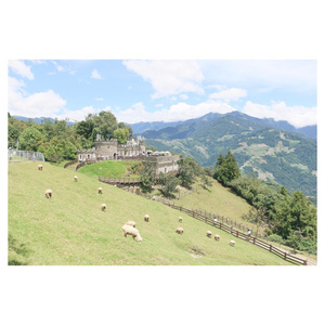 麻豆精品一起草
