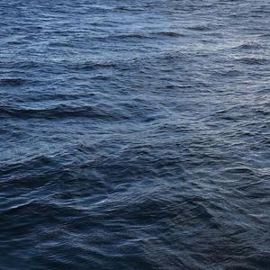 麻豆精品一起草
